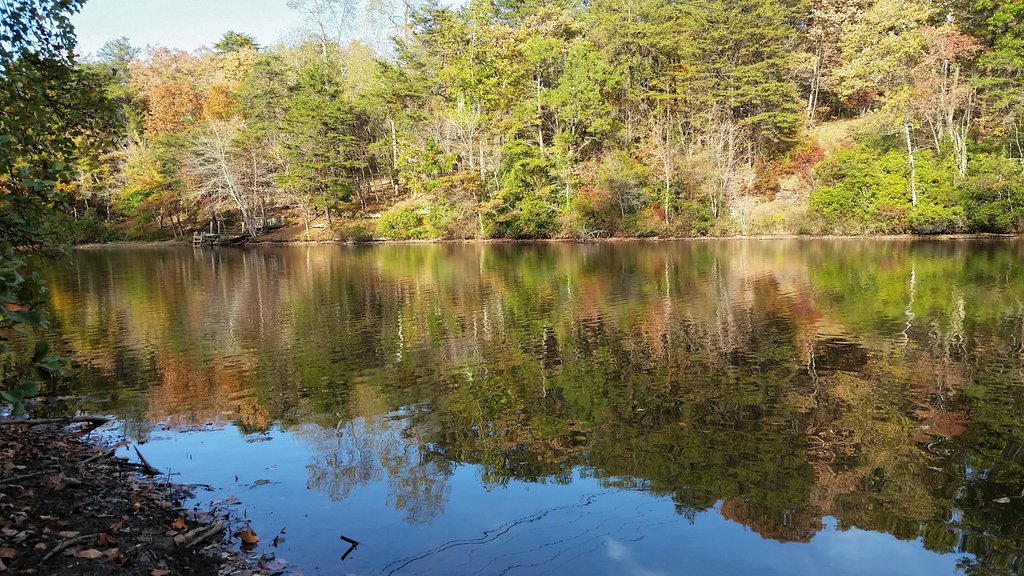 elguthrie32's tweet photo. Gorgeous day at Desoto Falls in Fort Payne, AL #valleywx @simpsonwhnt @whnt @aa_foresee @WeatherNation @weatherchannel https://t.co/hIxzDxkACD