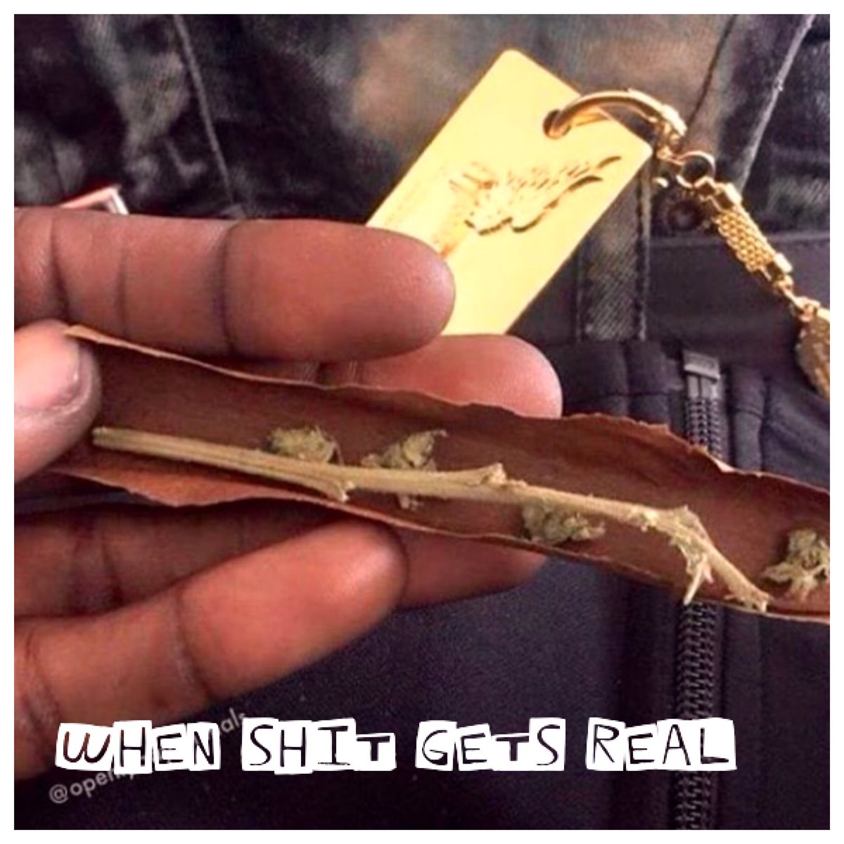 RobKathie's tweet photo. #dastruggle #whenshitgetsreal #420funny https://t.co/VX1Pwlm8CX