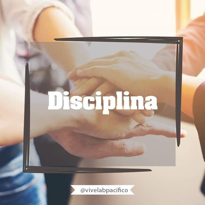 La disciplina es uno de los pilares más relevantes en #emprendimiento para tener los resultados que se quiere en la ejecución del proyecto.
