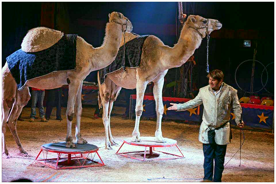 Pedro Fernando tweet media