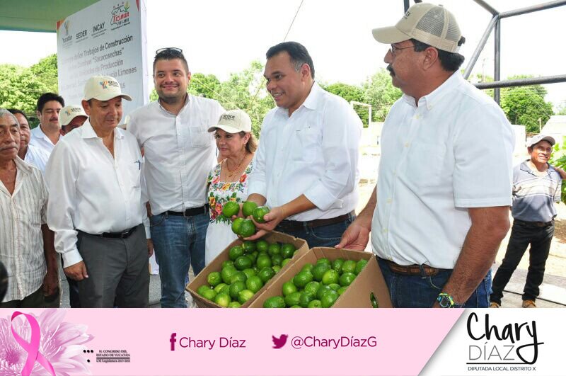 CharyDiazG's tweet photo. Con mucha alegría acompañamos al Gob @RolandoZapataB la entrega de caminos saca cosechas en Santa Ana y la Libertad comisarías de Tizimín. https://t.co/orVqcQ6ycV