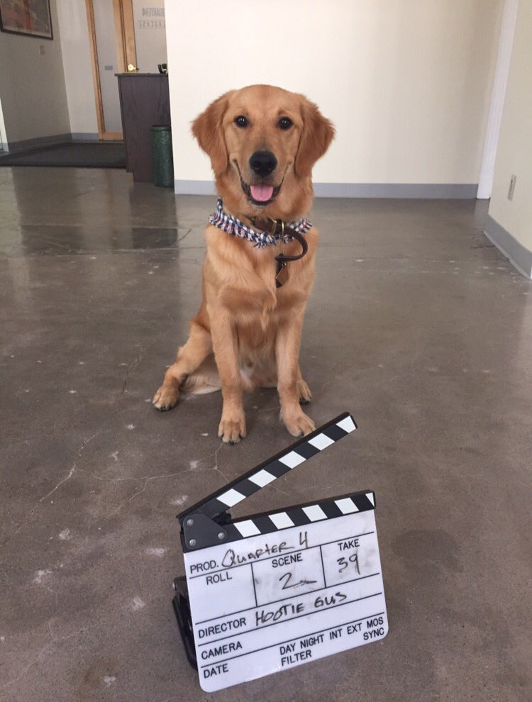 Hootie Gus in the office running the show today! Lights, camera, squirrel! <a href="/HeadcaseVR/">Headcase VR</a> <a href="/Quarter4Media/">Quarter4</a>