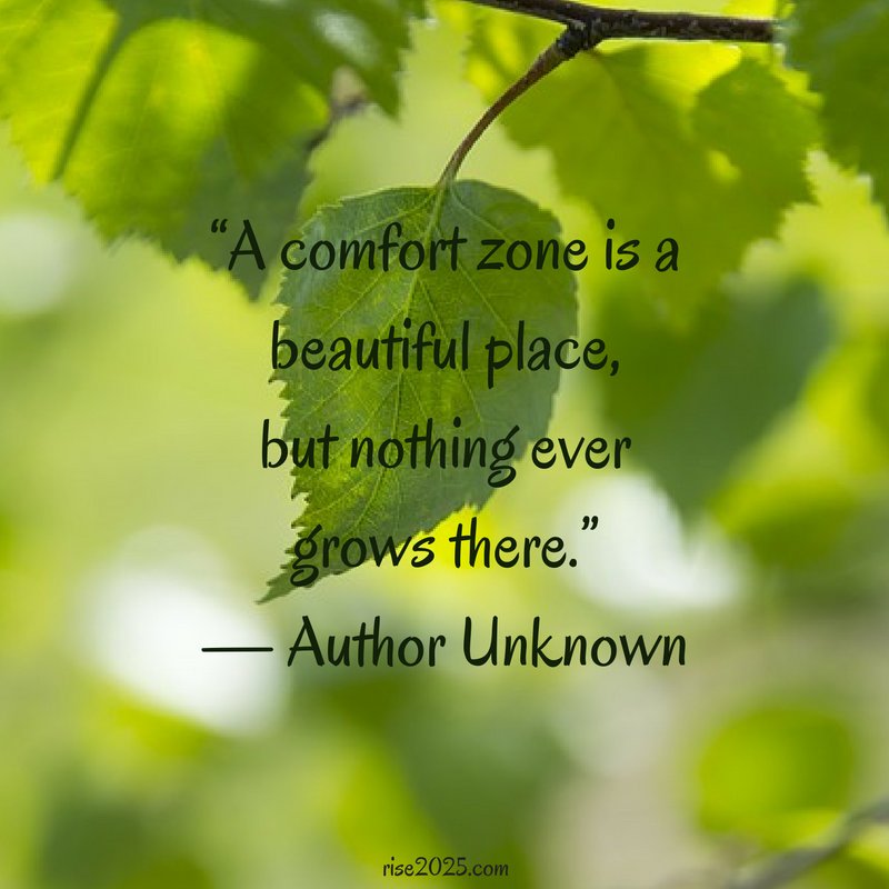 rise2025's tweet image. &quot;A comfort zone is a beautiful place...&quot;  #choices #paths #rise2015