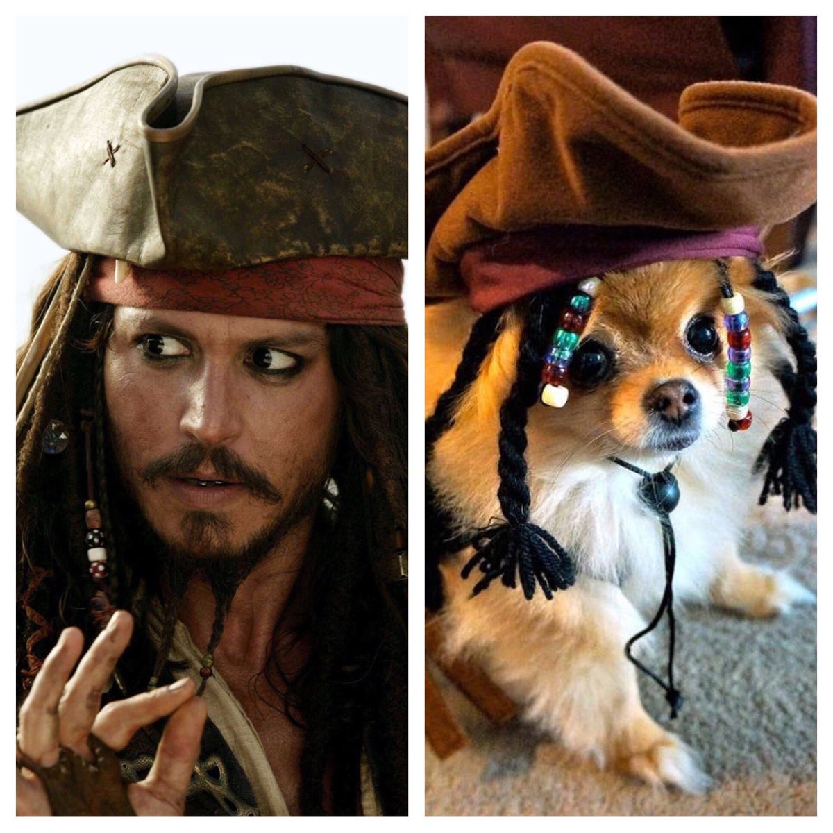 Who wore it better? #CostumeContest