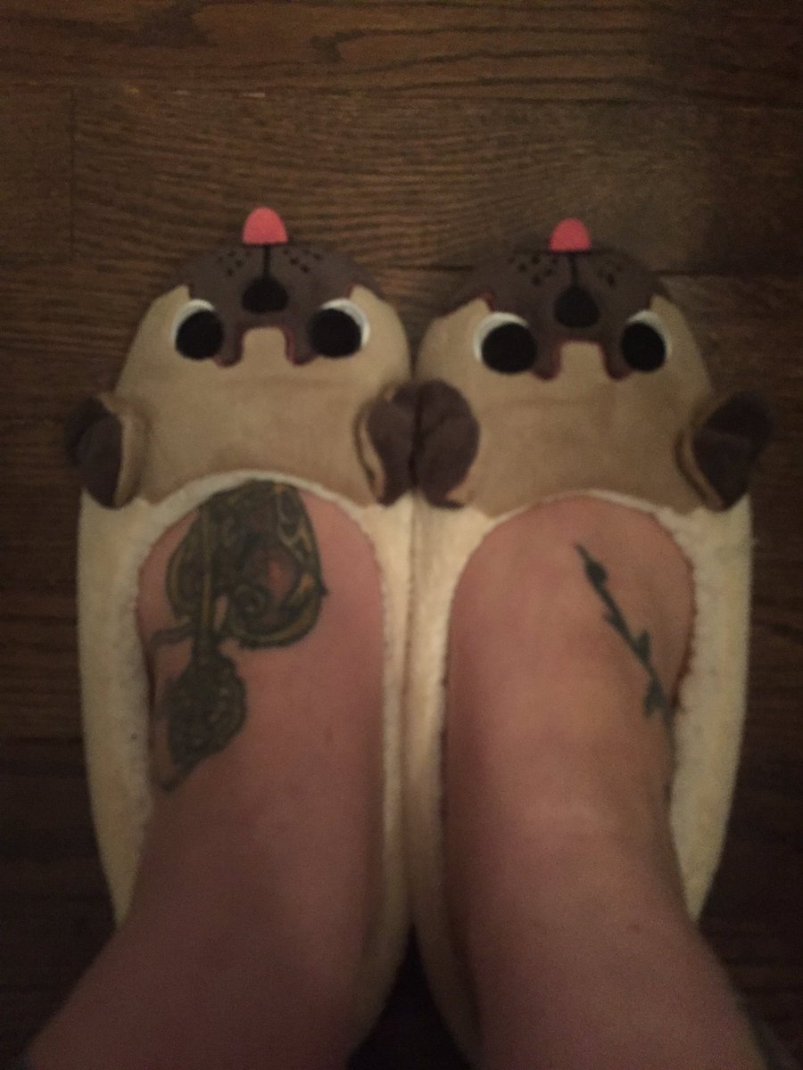 LeanneStewart00's tweet photo. Life is better in pug slippers! #puglife #beyondcomfy https://t.co/99lrJYK4hx