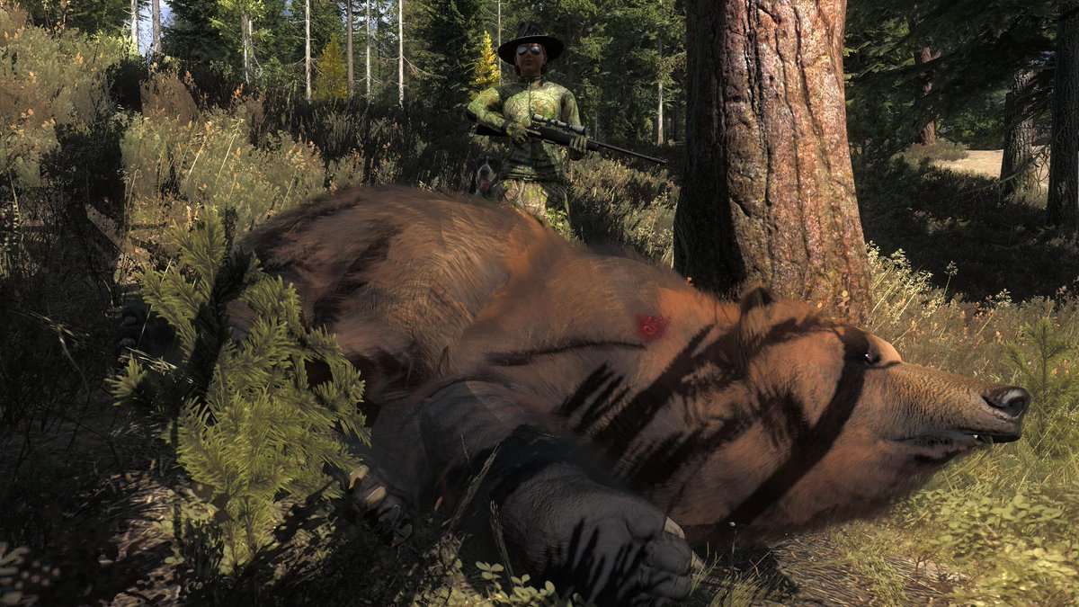 NitaThePoodle's tweet photo. My first male grizzly (score: 25), and his name is Phteven. With a "PH". #theHunterGame #TunaTheDog #Phteven #TimbergoldTrails #MrBurns https://t.co/5CYzhJRURj