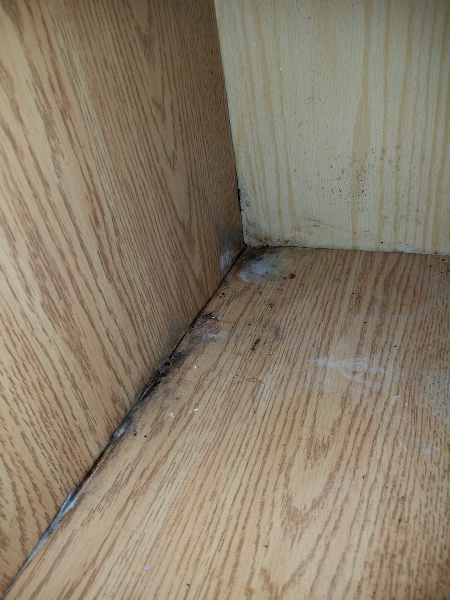 #isthisblackmold #help #whatisthis #needanswer #blackmold #mold #yikes