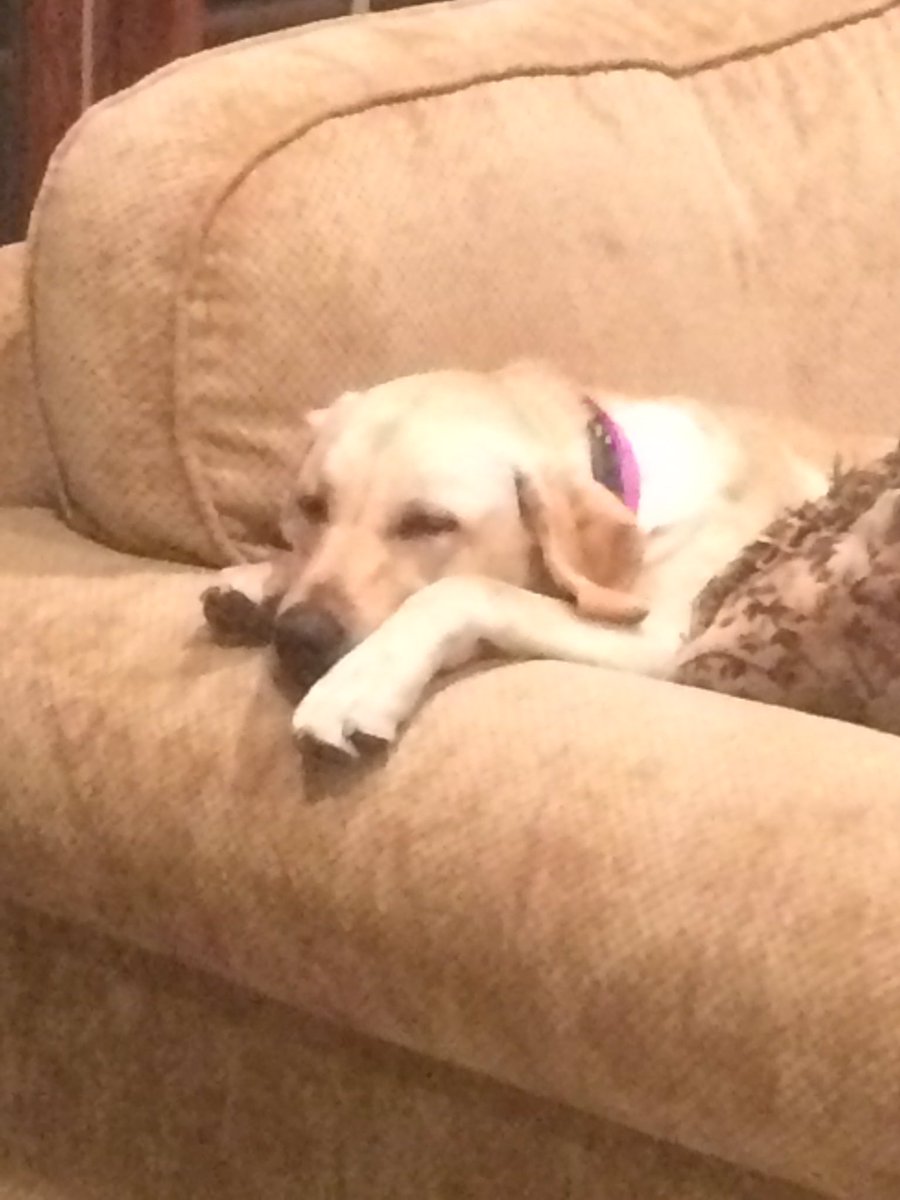 ski33golf's tweet image. #lifesastruggle