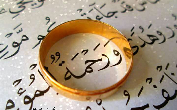 💛
.
.
.
حينَ تشعرّ بالغٌربہ😔

افتحَ مٌصحفكِ ف بينَ ثناياا صفحااتٌہ وطن ♡
.
.
.
💚