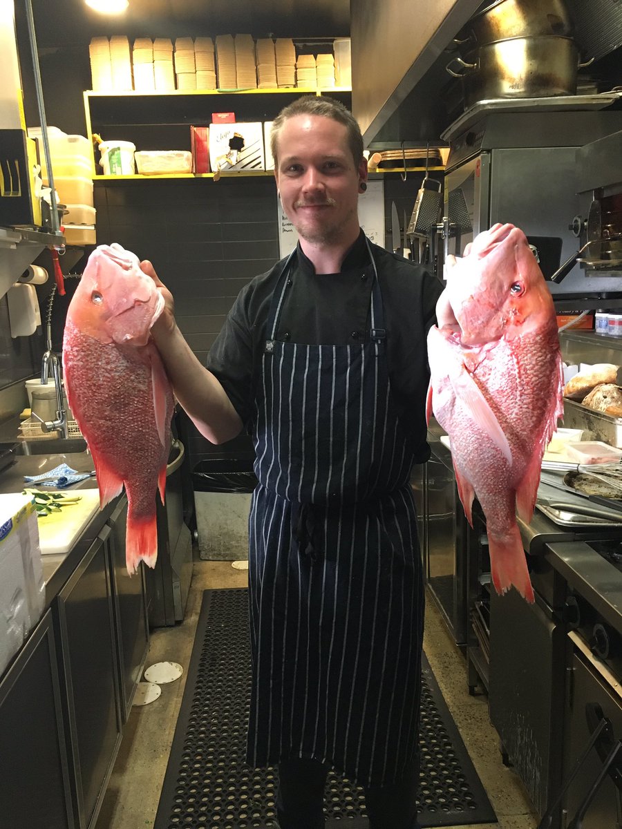 Rbaudindionicio's tweet photo. Chef Sean holding Fresh red emperor .come check us out what we will do with it
Canberra #fishco #cbr @hercanberra @sofranksocial https://t.co/RsqrFf6c8y