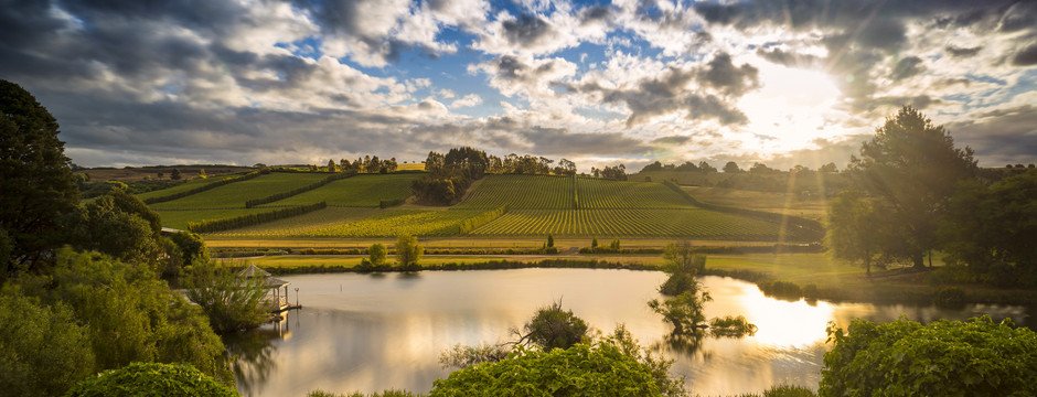 Tasmanian tweet media