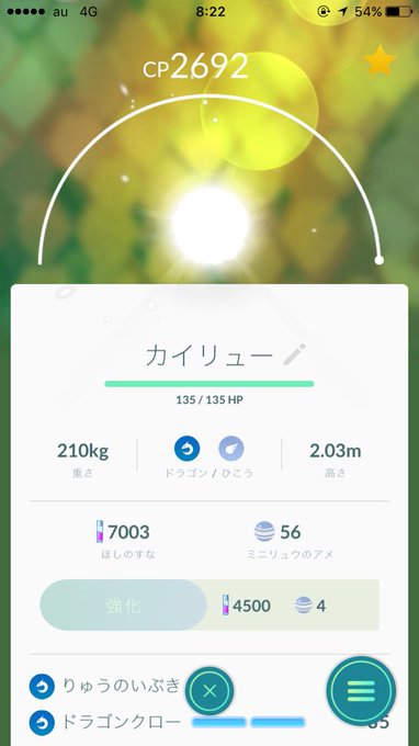ポケモンgo 最新アップデートバグ 所持ポケモンが消滅 光の玉になる問題と対処法 ホロロ通信おすすめゲームと攻略裏技最新まとめ ホロロ通信