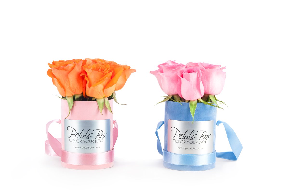 Petals Box tweet media