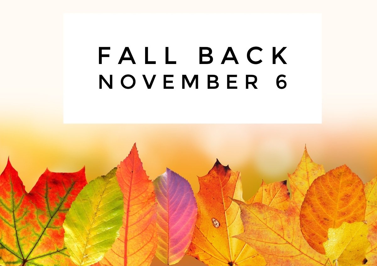 Image result for fall back