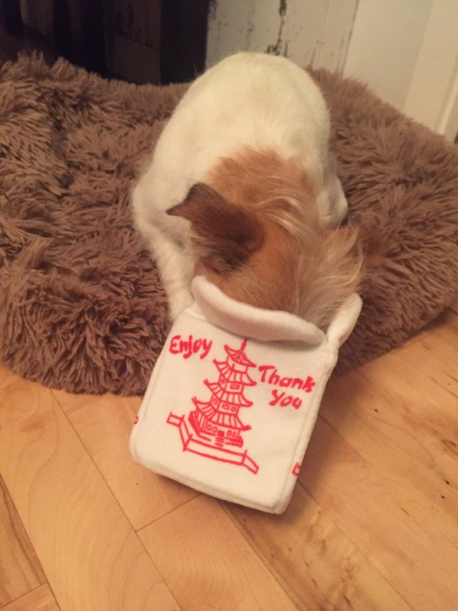 LensTinyToes's tweet photo. My very first @barkbox has arrived! #ilovedumplings #BarkBoxDay https://t.co/BjcqIp1zys