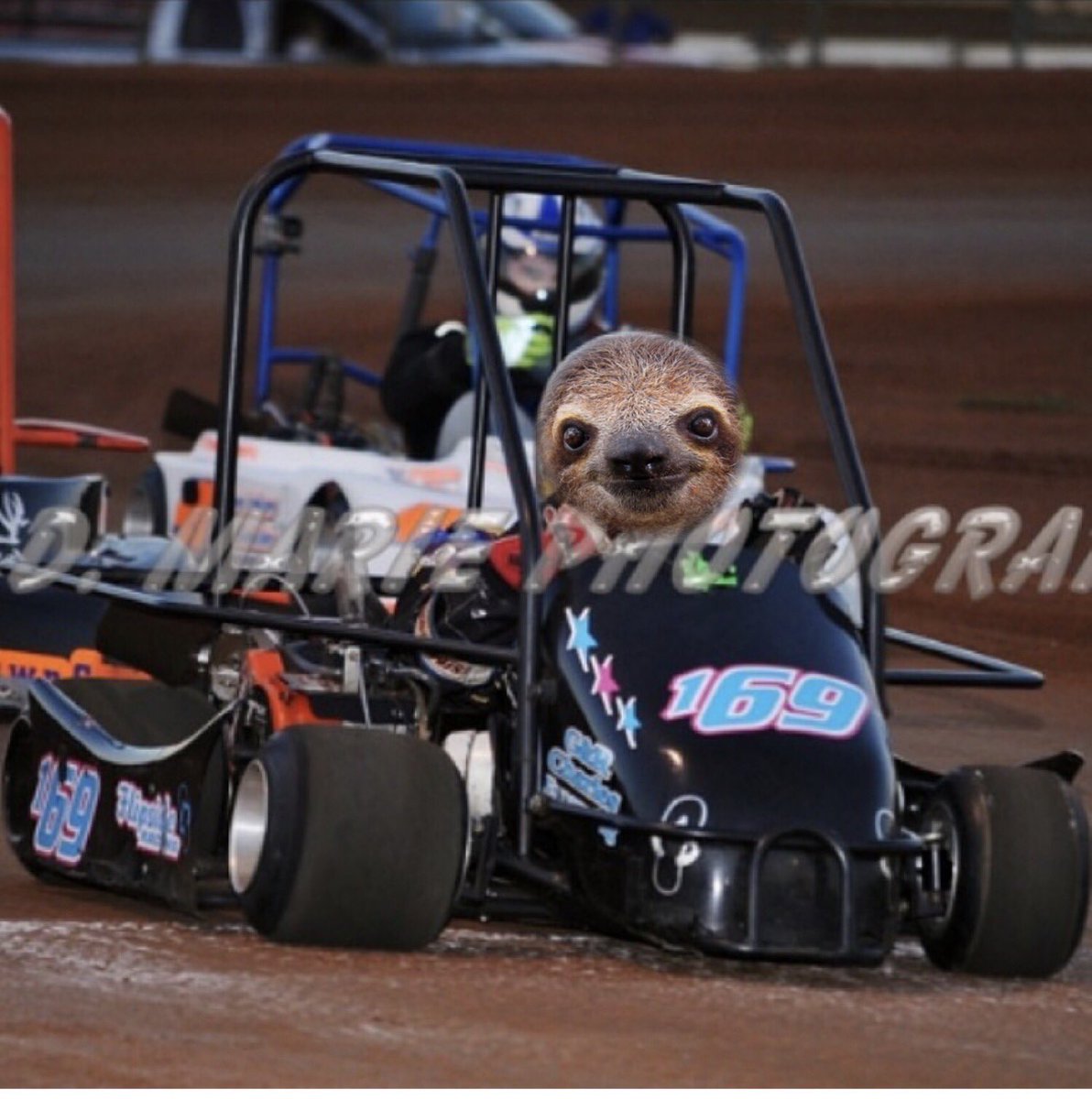 Dylan Feltman tweet media