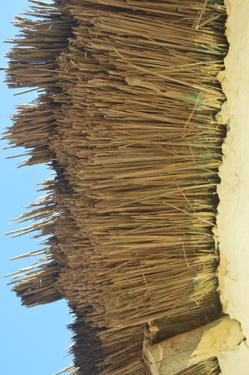 jontwingi's tweet photo. Back to uploading pictures from Xhosa vernacular architecture research. Day 3 is now up.
https://t.co/Hj1FTEdri1 https://t.co/0aDDA8im0y