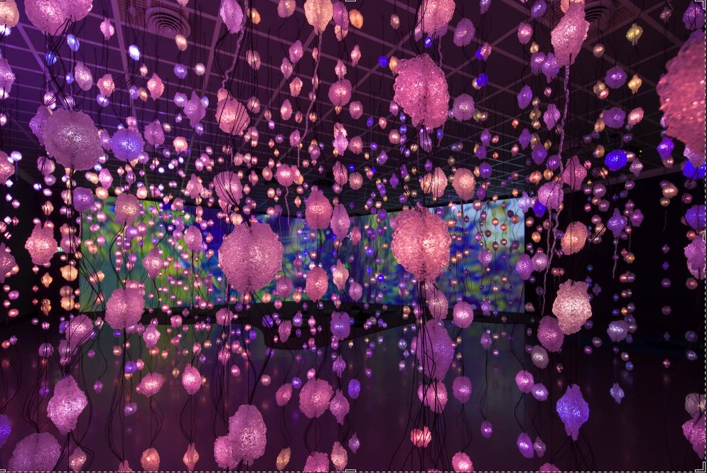 #PipilottiRist's "Pixel Forest" is now open to the public! See the exhibition in its opening hours: bit.ly/2dhlAyO