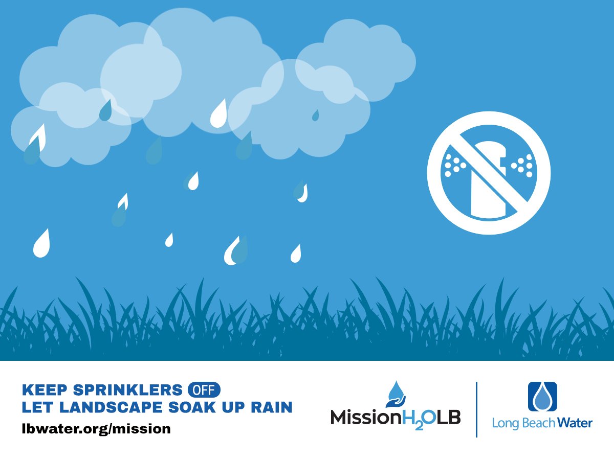 LBUtilities's tweet photo. Every drop 💧 counts #LB, so let your landscapes soak up the rain 🌧 and skip tomorrow’s watering day! #MissionH2OLB #SaveWaterLB https://t.co/ogSUki3GCT