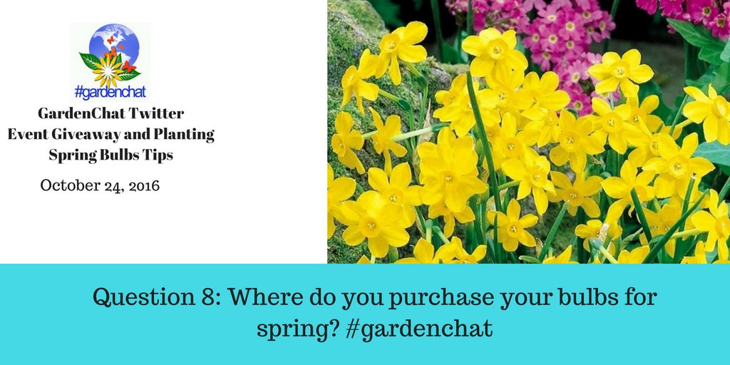 Question 8: Where do you purchase your bulbs for spring? #gardenchat https://t.co/YAZLDRcZ3U