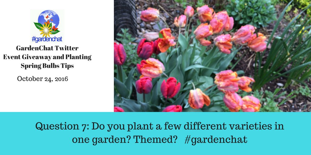 Question 7: Do you plant a few different varieties in one garden? Themed? #gardenchat https://t.co/5mh3hyFFx5