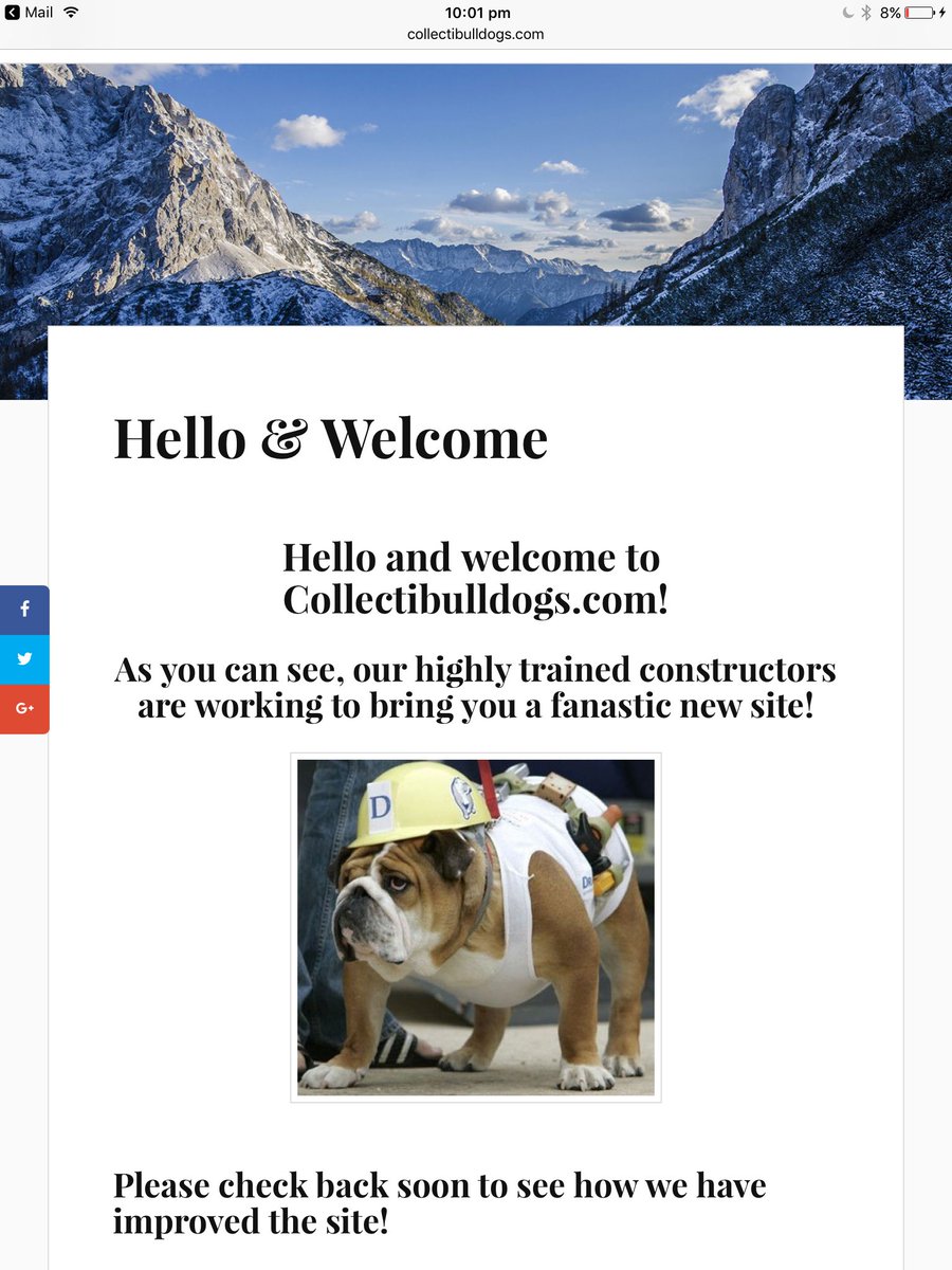 collectibulldog's tweet photo. @TheRemoteITPro bringing collectibulldogs up to standard and beyond
#TrustedWebDesigner #FastAndEfficient #Creative #ideas #MovingForward https://t.co/xgGQaitWkX