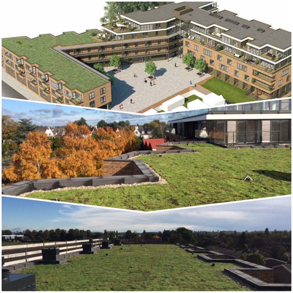 Van ontwerp tot oplevering. Woonzorgcentrum #Bergschenhoek voorzien van 650 m2 #Sedumdak. Installatie door KleiVa. #groendak <a href="/BatenburgBouw/">BatenburgBouw</a>