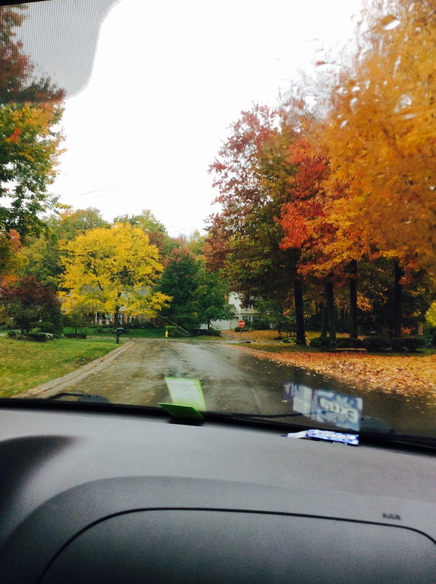 BangMegan's tweet image. If St. George was like upstate New York in the fall I would be 😍