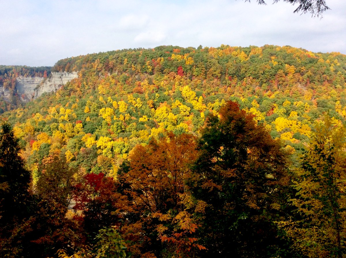 BangMegan's tweet image. If St. George was like upstate New York in the fall I would be 😍