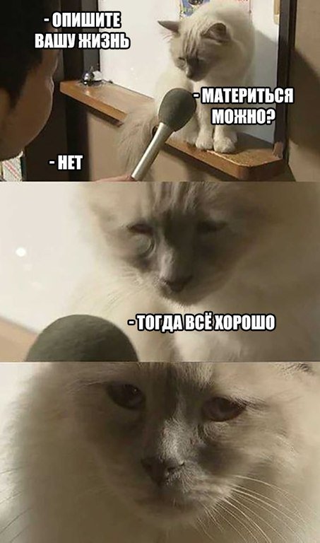 Good Jokes (@good__jokes) on Twitter photo 
