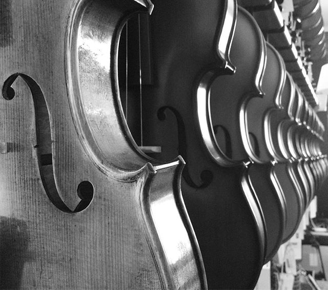 SimplyforString's tweet photo. "Where words fail, music speaks" - Hans Christian Andersen #quotes #music #simplyforstrings #violin #cello #viola #hanschristianandersen #so https://t.co/CZLBNPkX2m