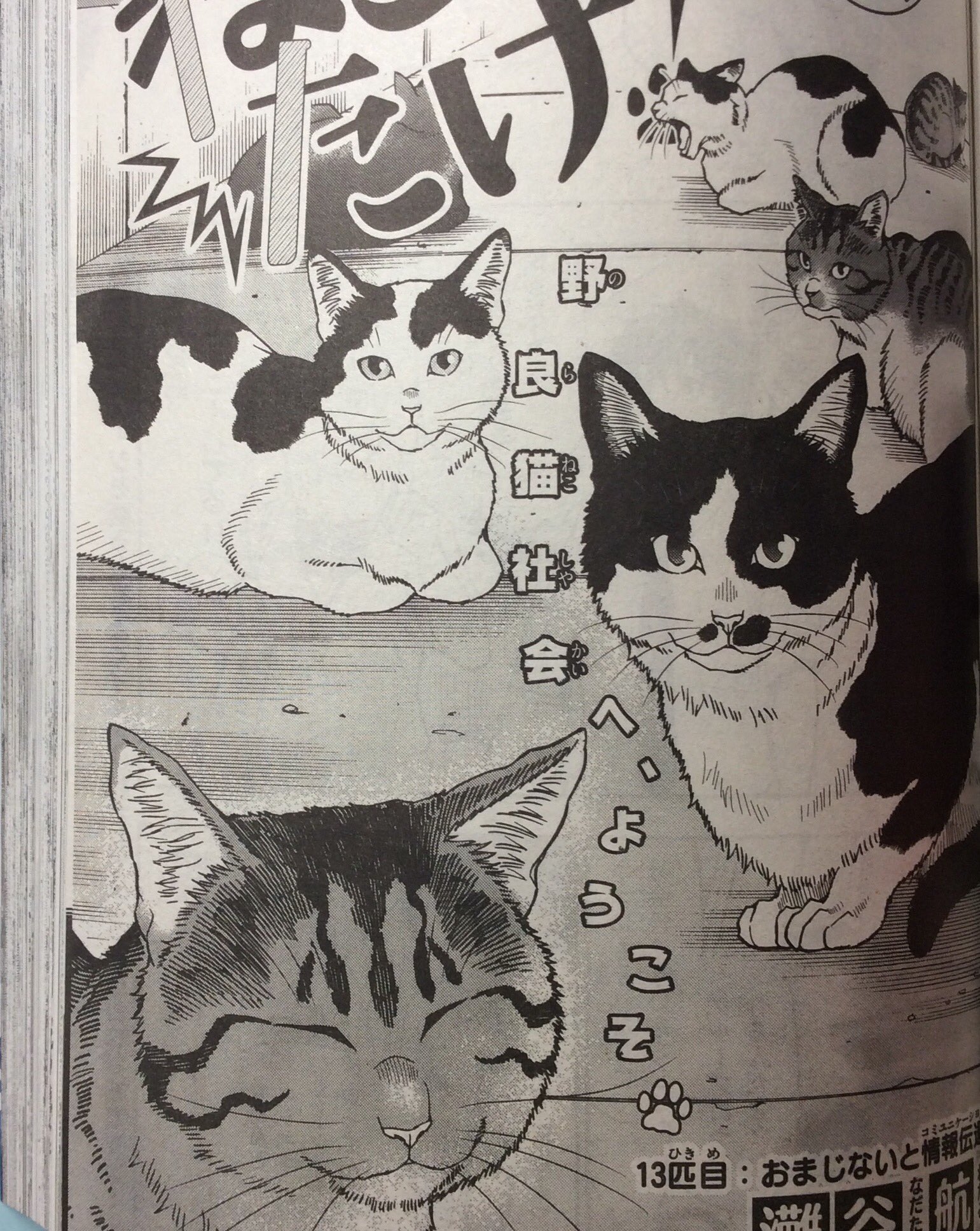 灘谷航 猫暮らしのゲーマーさん 1 6巻発売中 En Twitter 少年サンデーs 12月号に ねこったけ 13話目載っています どうぞよろしくお願いします 猫 サンデー 灘谷航 猫暮らしのゲーマーさん 1 6巻発売中 En Twitter 少年サンデーs 12月号に ねこったけ 13話目載っています どうぞよろしくお願いします 猫 サンデー