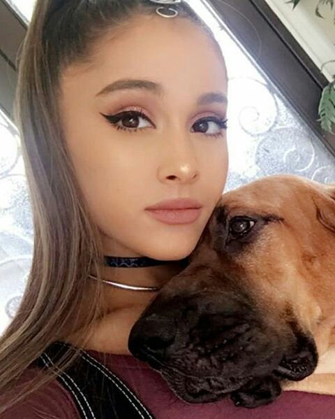 Ari's SweetLikeCandy tweet media