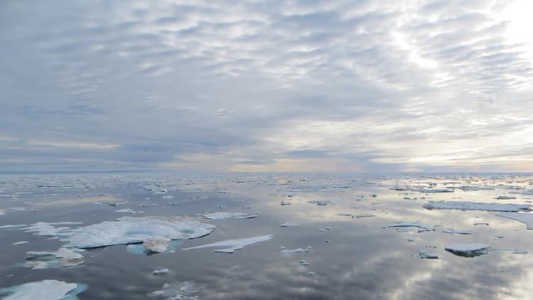 Species may be listed as "threatened" based on climate change projections, court says lat.ms/2dEmt5B