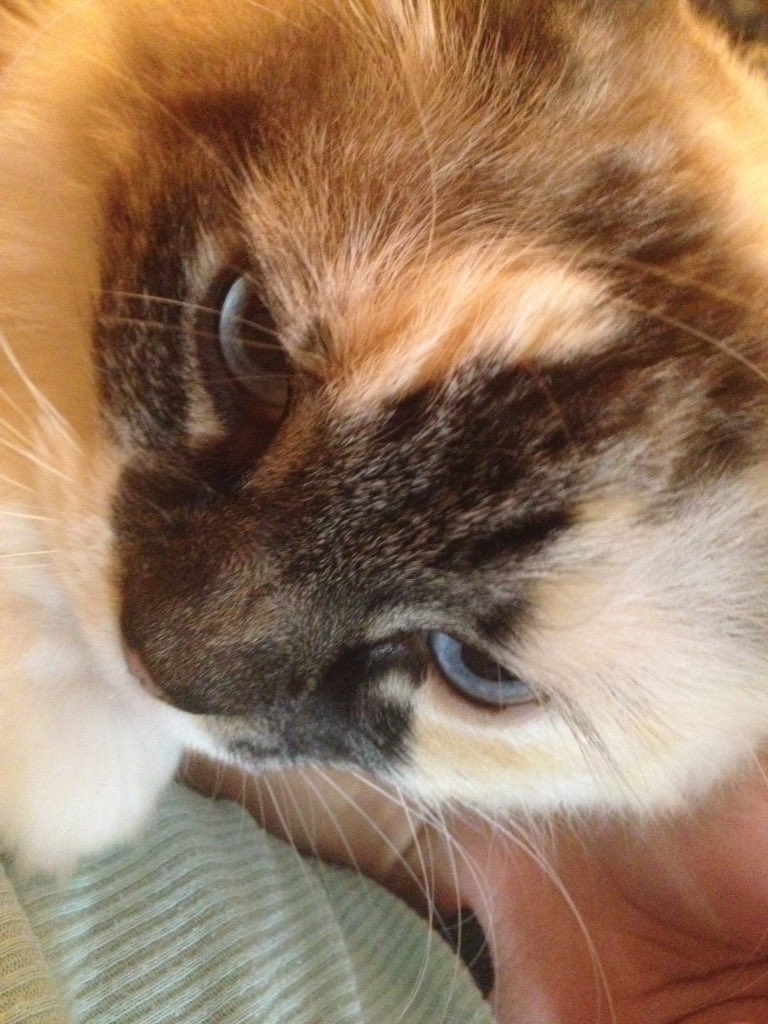 Charlie98Lisa tweet picture