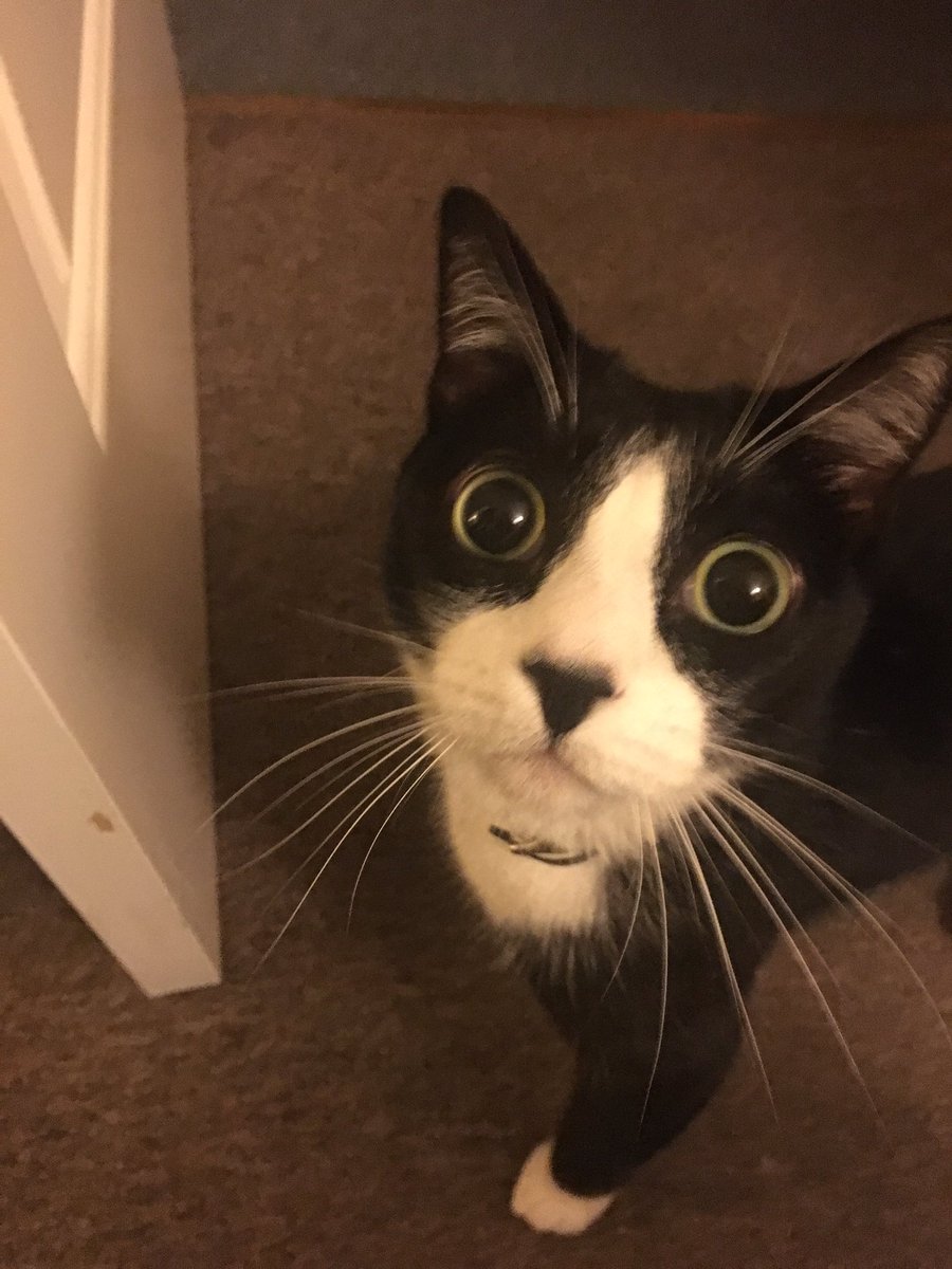 Varona, eres un coñazo.
<a href="/Panchovarona/">Pancho Varona</a>