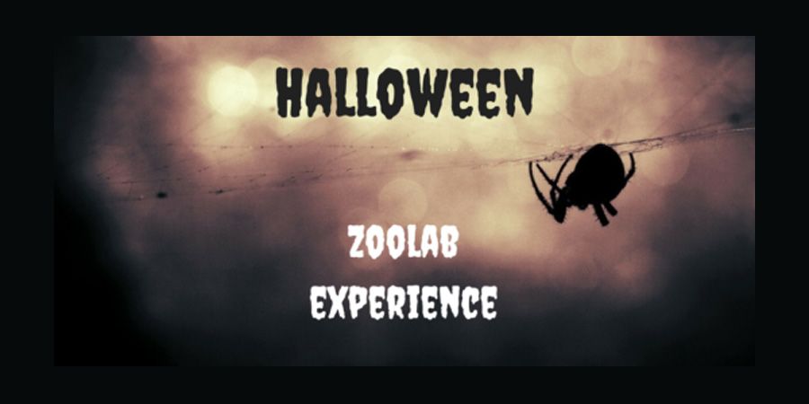 Meet some creepy crawly creatures with Zoolab <a href="/BagshawMuseum/">Bagshaw Museum</a> this Friday: socsi.in/FSmRg