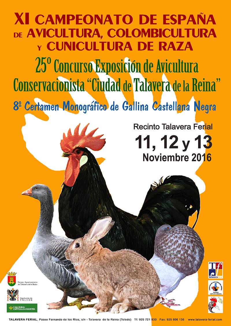 TalaveraFerial's tweet photo. Próxima cita 11, 12 y 13 de noviembre con el  XI #Campeonato de España de #Avicultura, #Cunicultura y #Colombicultura de Raza https://t.co/JToyYjgx8k