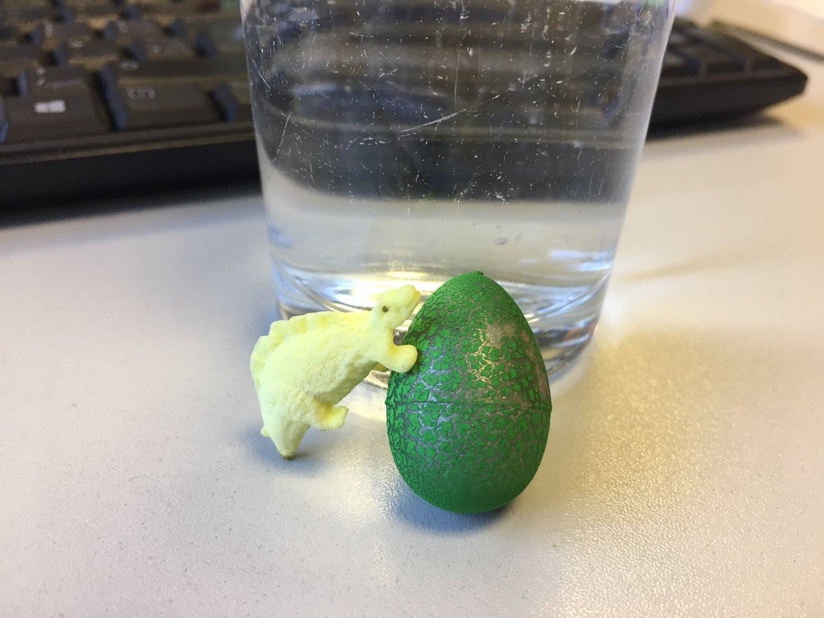 melhugs88's tweet photo. @sciencewater #elgadino is desperate for his #friendosaurus to hatch! He couldnt wait for me to get it in water & had to help #brothersaurus https://t.co/Wgk2pUXLus