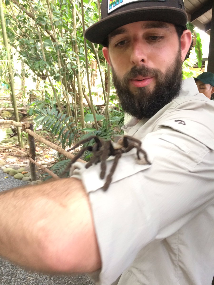 Kevin_Babey's tweet photo. Jack the Brave or possibly stupid! #ProjectBorneo https://t.co/6JYoxlmD1k