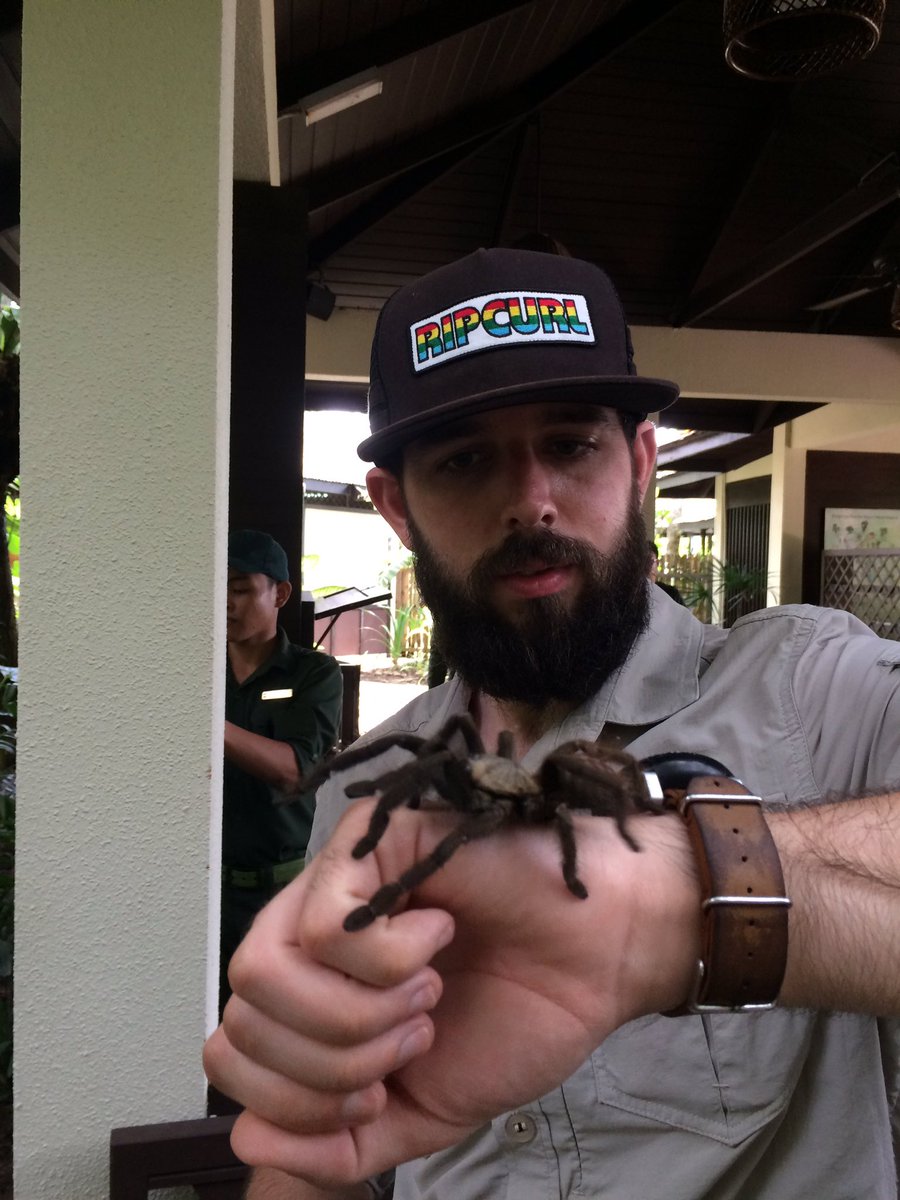 Kevin_Babey's tweet photo. Jack the Brave or possibly stupid! #ProjectBorneo https://t.co/6JYoxlmD1k