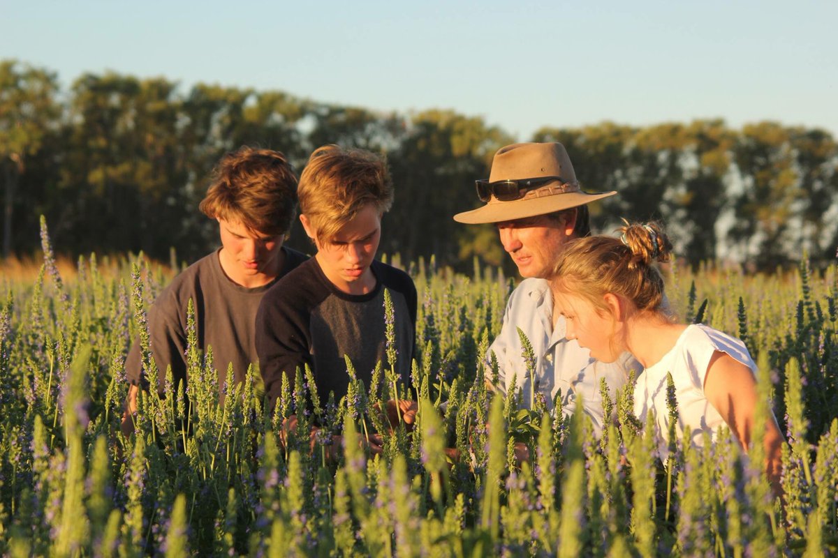 MattBrannRURAL's tweet photo. If you're interested in what's happening in the Ord Irrigation Scheme - make sure u follow #OutOfTheOrd on Facebook https://t.co/rlX9G1aldX https://t.co/ps6Bv5ZfGu