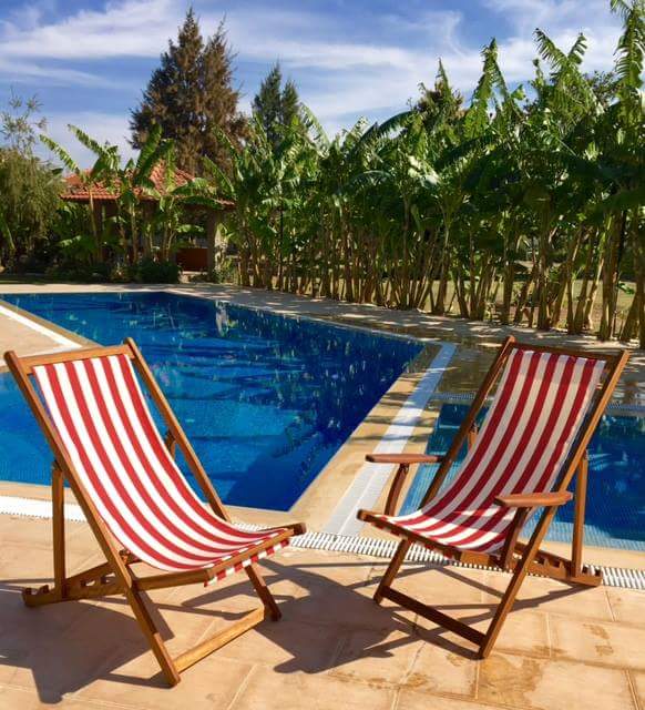 urladangarden's tweet photo. Günaydın 😊
#sezlong #summer #ahsap #iroko #urladangarden #intersystem https://t.co/PAvyxBN9N0