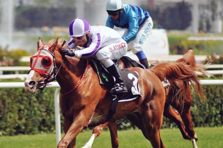 pride_falcon's tweet image. Allah'ım sen bana yardım et güç kuvvet ver, kendimi ispatlamak için yolumu aç Allah'ım. Hiç kimseyi mağdur beni mahçup etme inşallah.