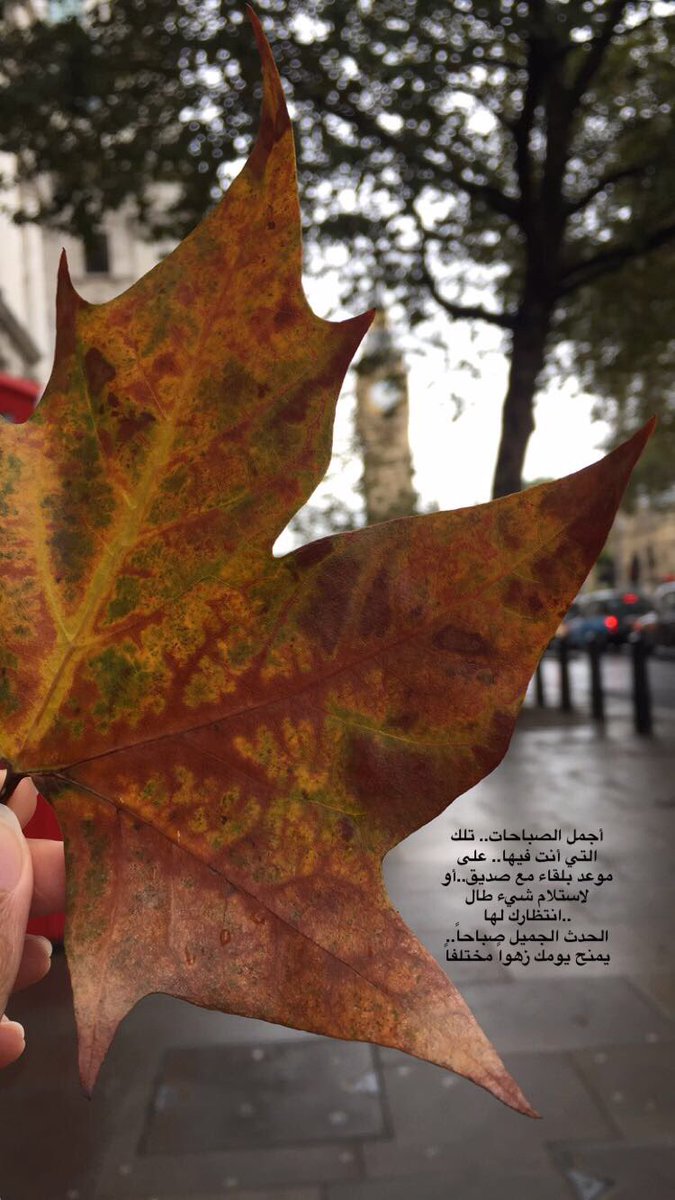 5_march's tweet photo. #bonjour​
#Autman🍁 https://t.co/mPjvGtqF3e