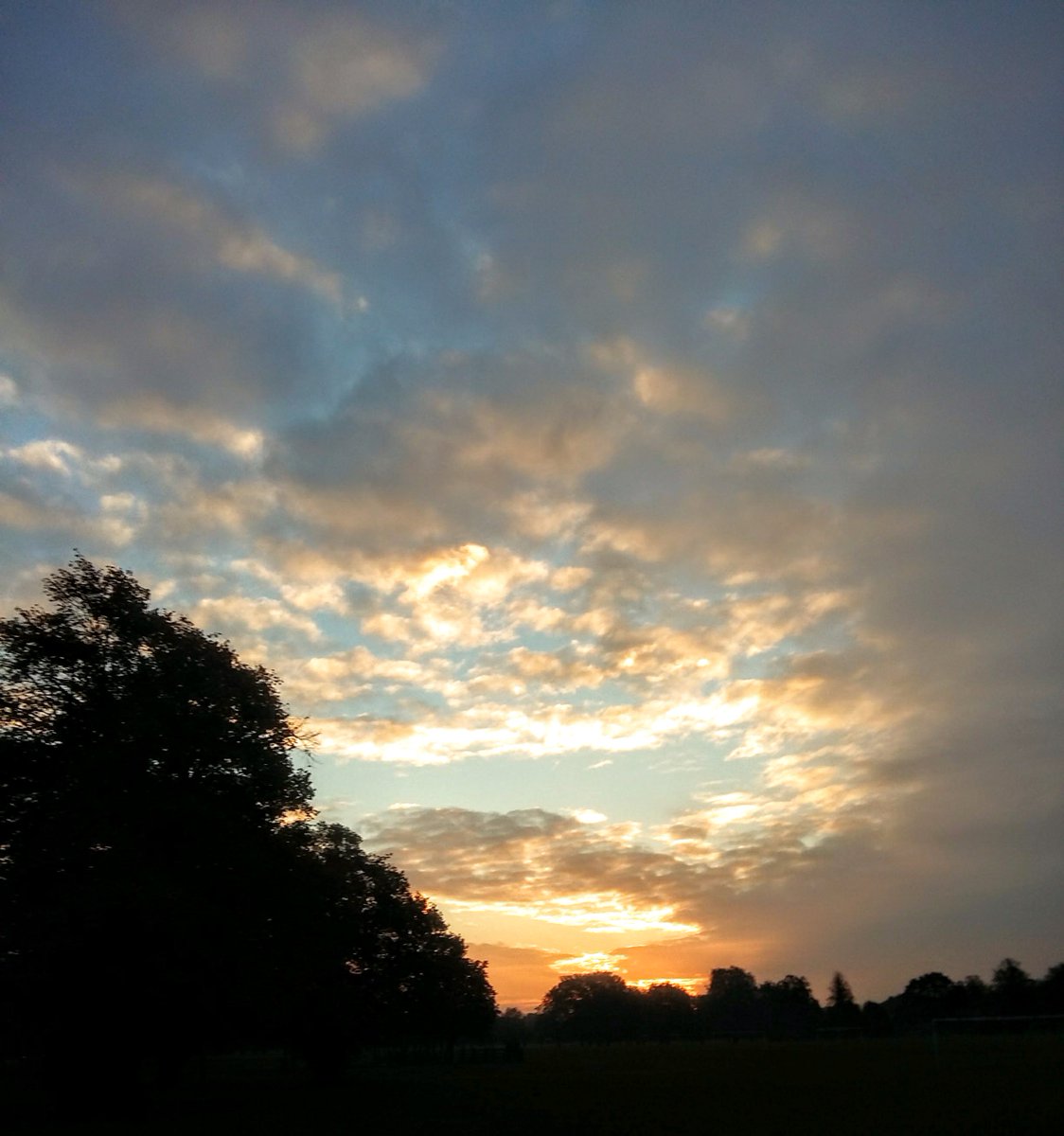 thebikelog's tweet photo. Today's morning run around #claphamcommon was OH-SO worth it in the end. If only for the #gorgeous #sunrise - the best way to start the day! https://t.co/0i6llEj1xQ
