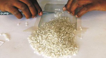 TheDiamondLoupe's tweet photo. Sierra Leone Diamond Production up 19% in H1 2016, little Tax Revenue to show for it, writes #Awoko News https://t.co/bQoG8R7VI9 https://t.co/c5hIgav6yn