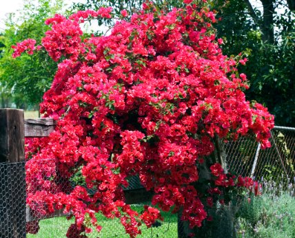 QuestionDeJour's tweet image. Who is your best friend? Do they bring out the best in you?