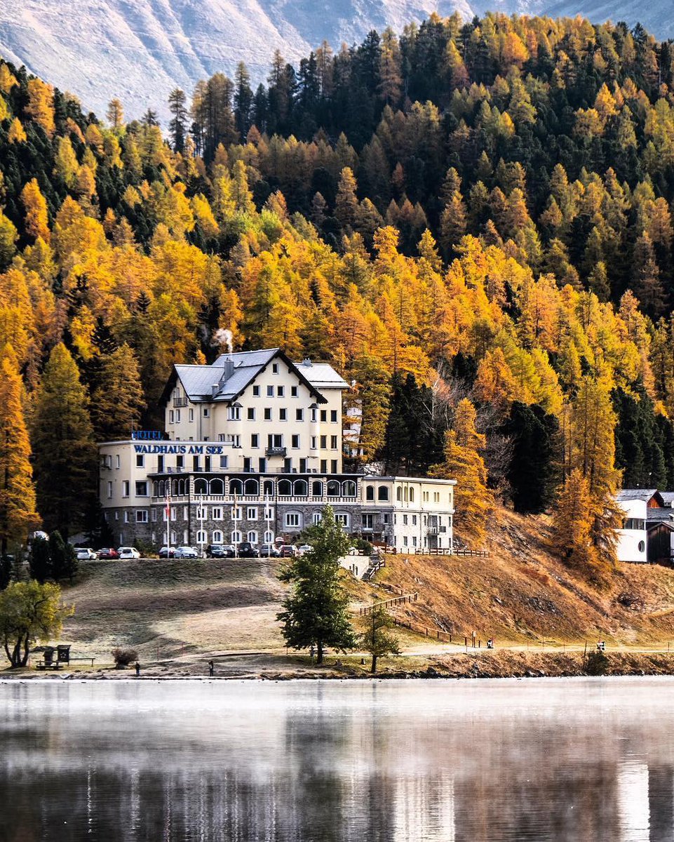 St. Moritz tweet media