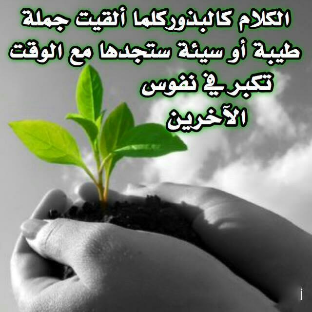 MahmoodTamem's tweet photo. https://t.co/wCKn0sOOgL